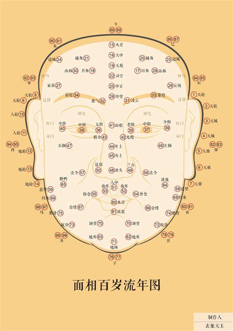 面相流年图